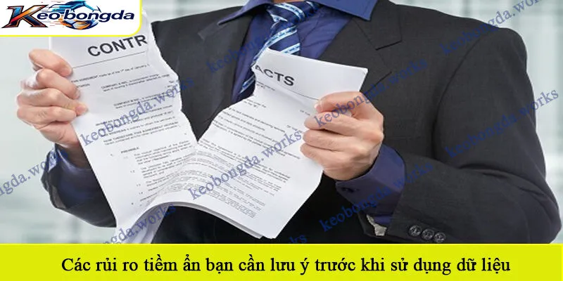 Các rủi ro tiềm ẩn bạn cần lưu ý trước khi sử dụng dữ liệu