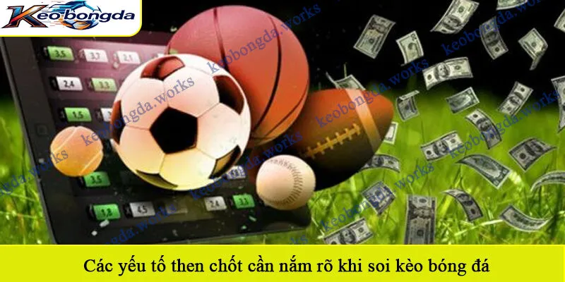 Các yếu tố then chốt cần nắm rõ khi soi kèo bóng đá