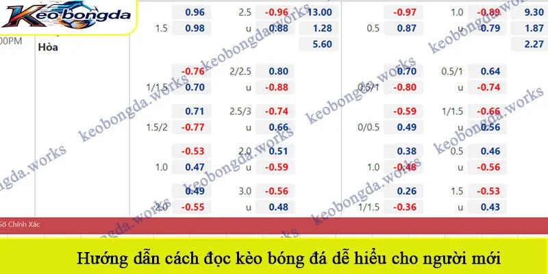 Hướng dẫn cách đọc kèo bóng đá dễ hiểu cho người mới