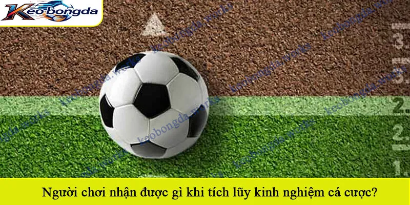 Người chơi nhận được gì khi tích lũy kinh nghiệm cá cược?