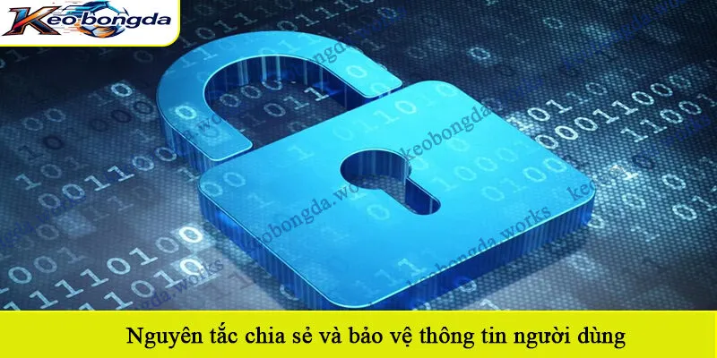 Nguyên tắc chia sẻ và bảo vệ thông tin người dùng