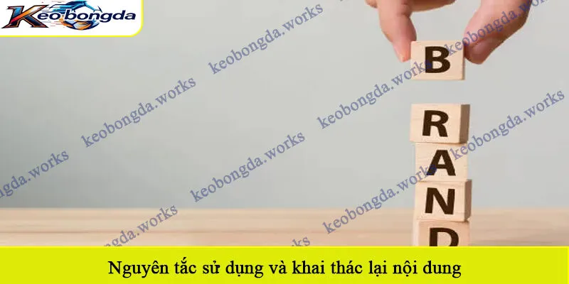 Nguyên tắc sử dụng và khai thác lại nội dung