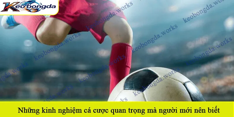 Những kinh nghiệm cá cược quan trọng mà người mới nên biết