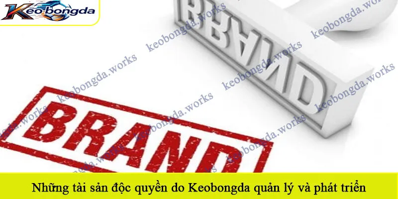 Những tài sản độc quyền do Keobongda quản lý và phát triển