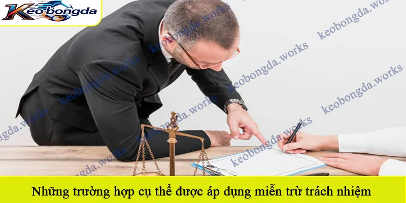 Những trường hợp cụ thể được áp dụng miễn trừ trách nhiệm