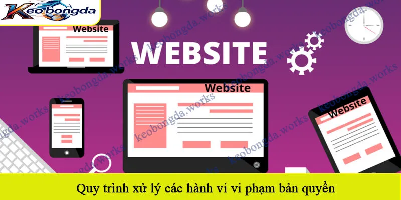 Quy trình xử lý các hành vi vi phạm bản quyền
