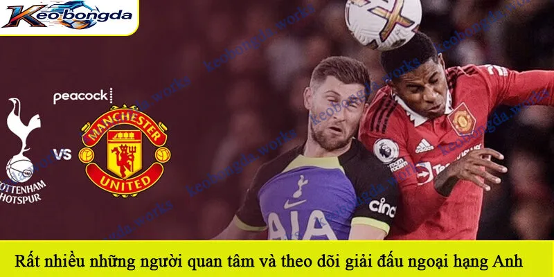 Rất nhiều những người quan tâm và theo dõi giải đấu ngoại hạng Anh