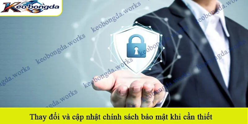 Thay đổi và cập nhật chính sách bảo mật khi cần thiết