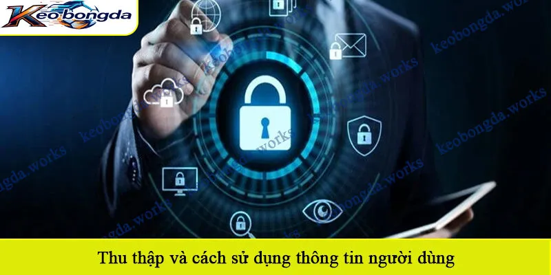 Thu thập và cách sử dụng thông tin người dùng