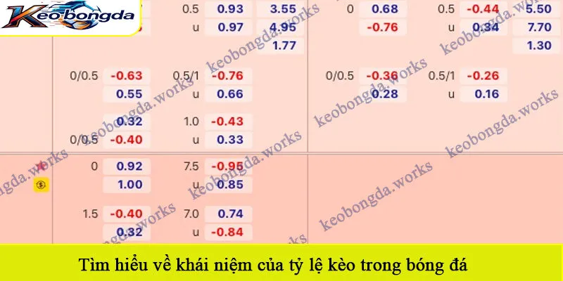 Tìm hiểu về khái niệm của tỷ lệ kèo trong bóng đá
