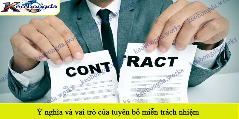 Ý nghĩa và vai trò của tuyên bố miễn trách nhiệm