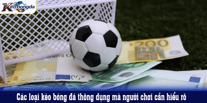 Các loại kèo bóng đá thông dụng mà người chơi cần hiểu rõ