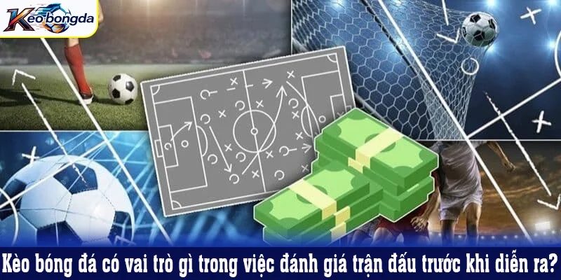 Kèo bóng đá có vai trò gì trong việc đánh giá trận đấu trước khi diễn ra?