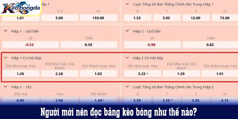 Người mới nên đọc bảng kèo bóng như thế nào?