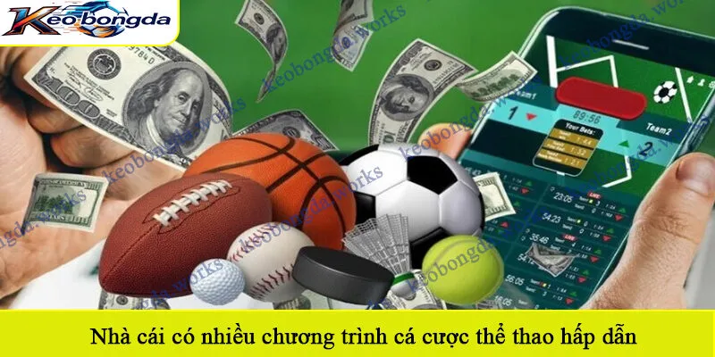 Nhà cái có nhiều chương trình cá cược thể thao hấp dẫn
