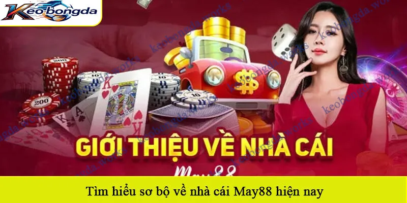 Tìm hiểu sơ bộ về nhà cái May88 hiện nay