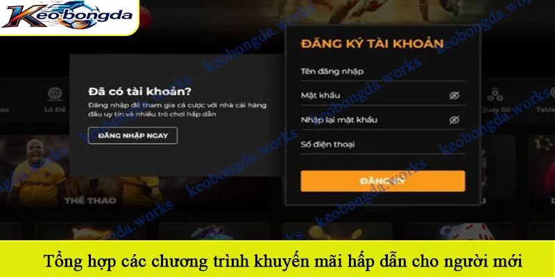 Tổng hợp các chương trình khuyến mãi hấp dẫn cho người mới